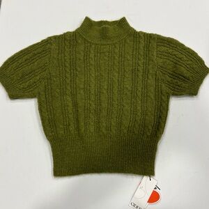 Cider Moss Green Turtleneck Sweater
